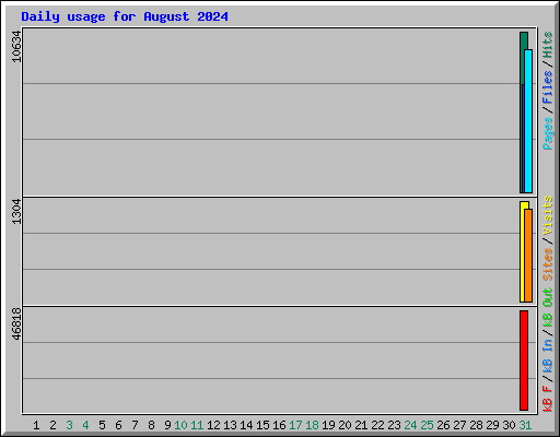 Daily usage for August 2024