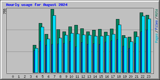 Hourly usage for August 2024