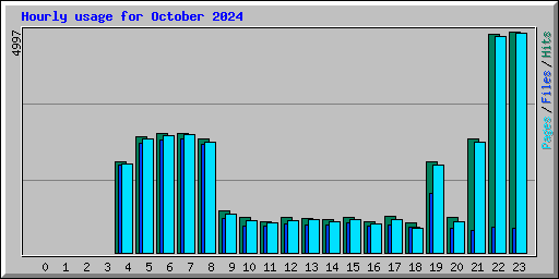 Hourly usage for October 2024